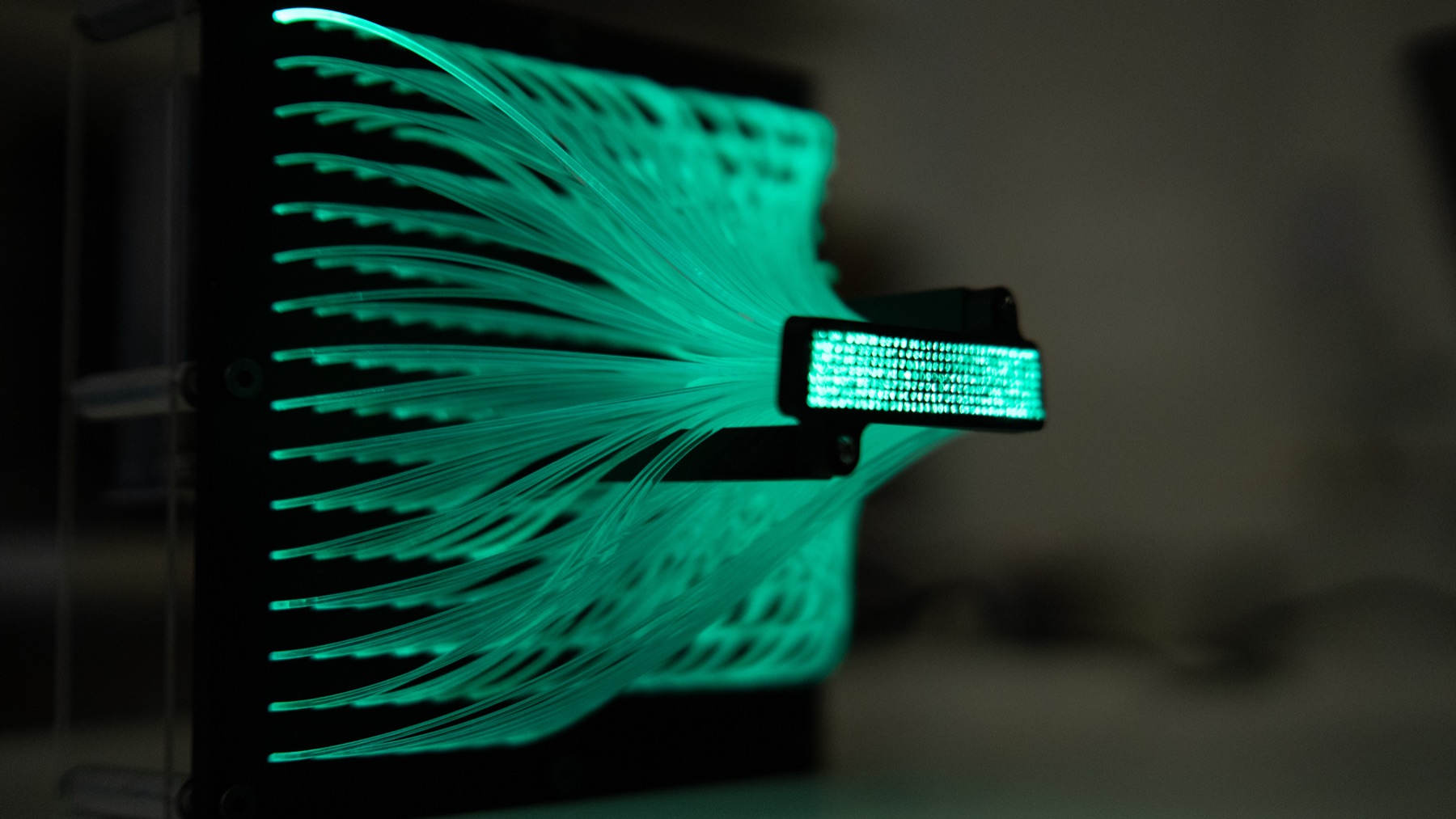 Fibre Light Interactive Lamp